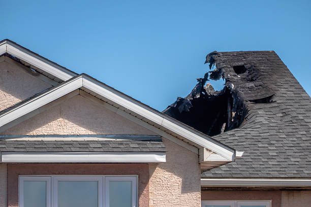 Top rated local Fire Damage Removal specialists in Stockton, NJ